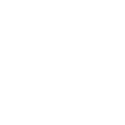 Custom Reports